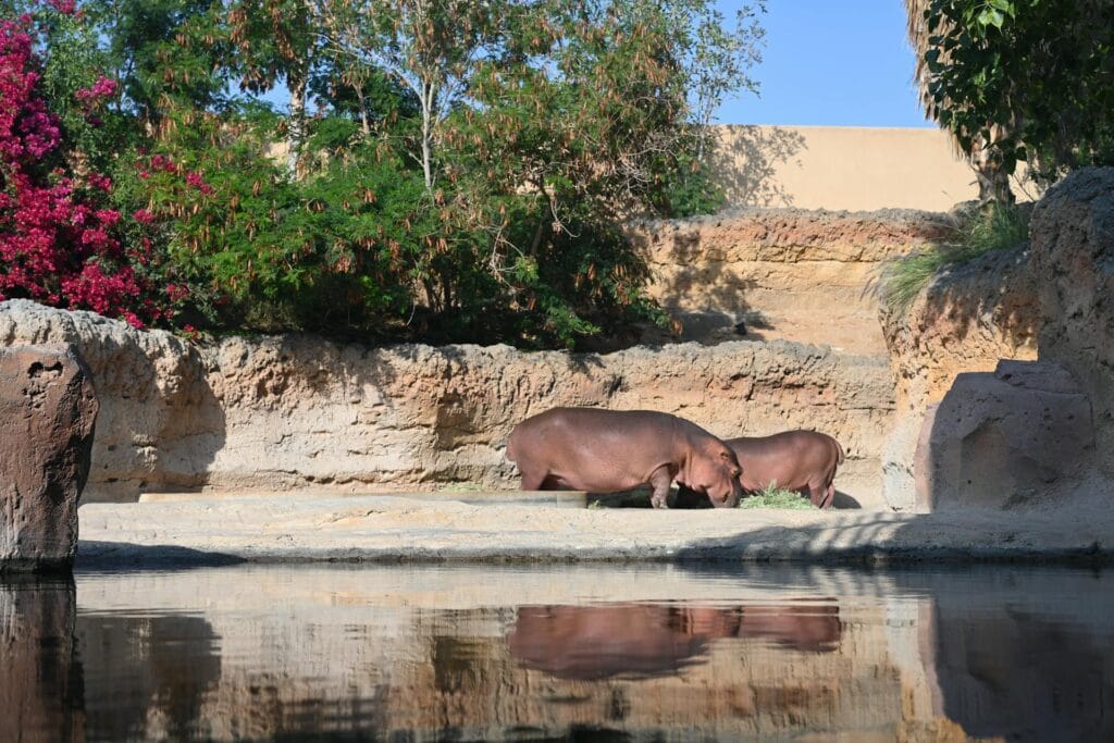 Visiting to Al Ain, Abu Dhabi