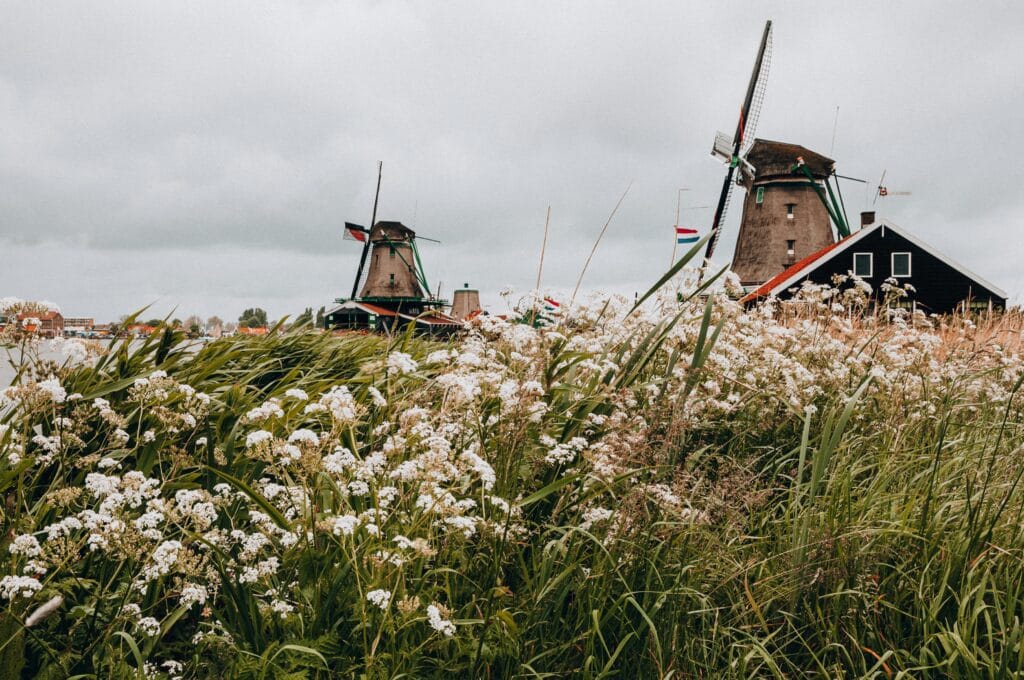 Location of Mill Network at Kinderdijk-Elshout